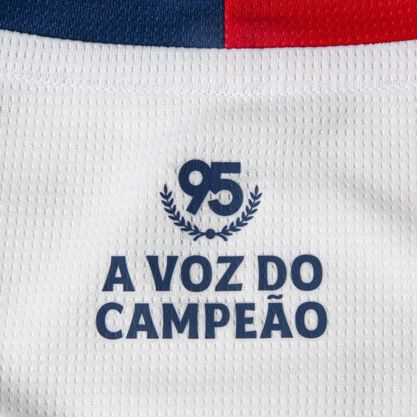 Camisa Torcedor 1 2026 Esporte Clube Bahia Puma Branca Infantil