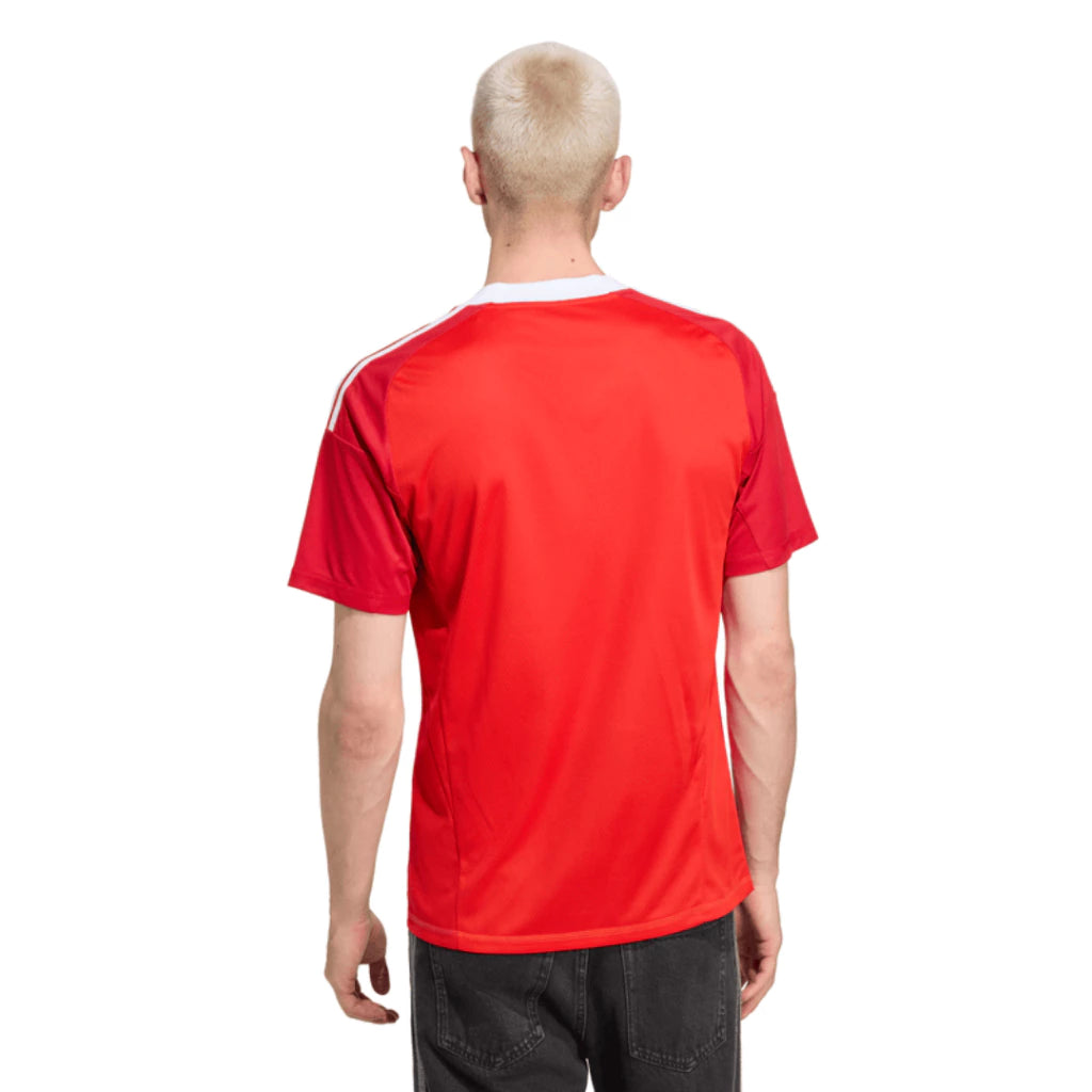 Camisa Flamengo Goleiro 3 2025 Torcedor
