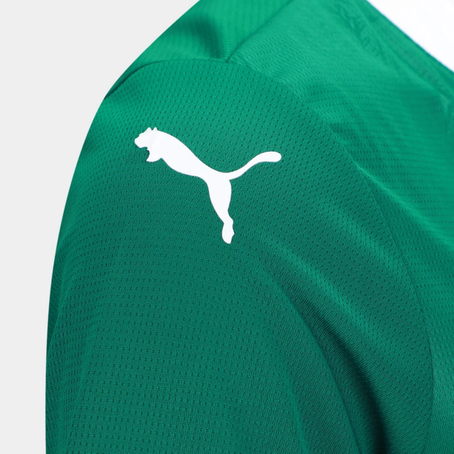 Camisa Feminina SE Palmeiras 2025/26 Home